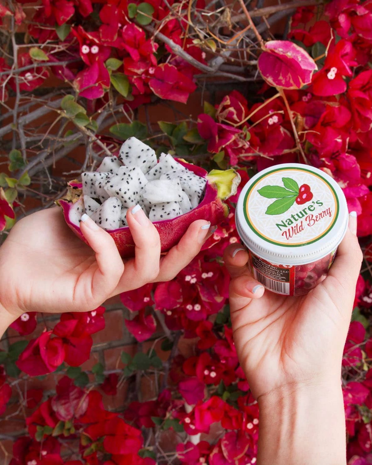 Nature's Wild Berry | Turn Sour Foods Sweet Naturally | Grommet